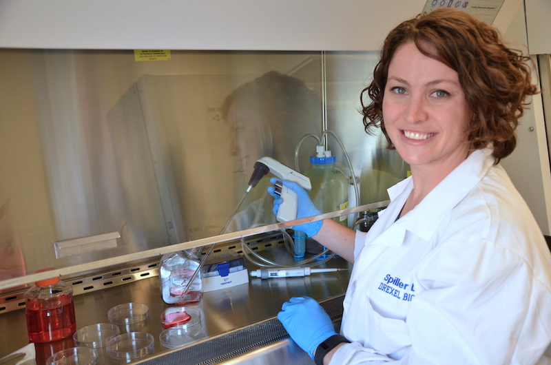 Kara Spiller, PhD, an assistant professor in the School of Biomedical Engineering, Science and Health Systems, has received a prestigious NSF CAREER award. 